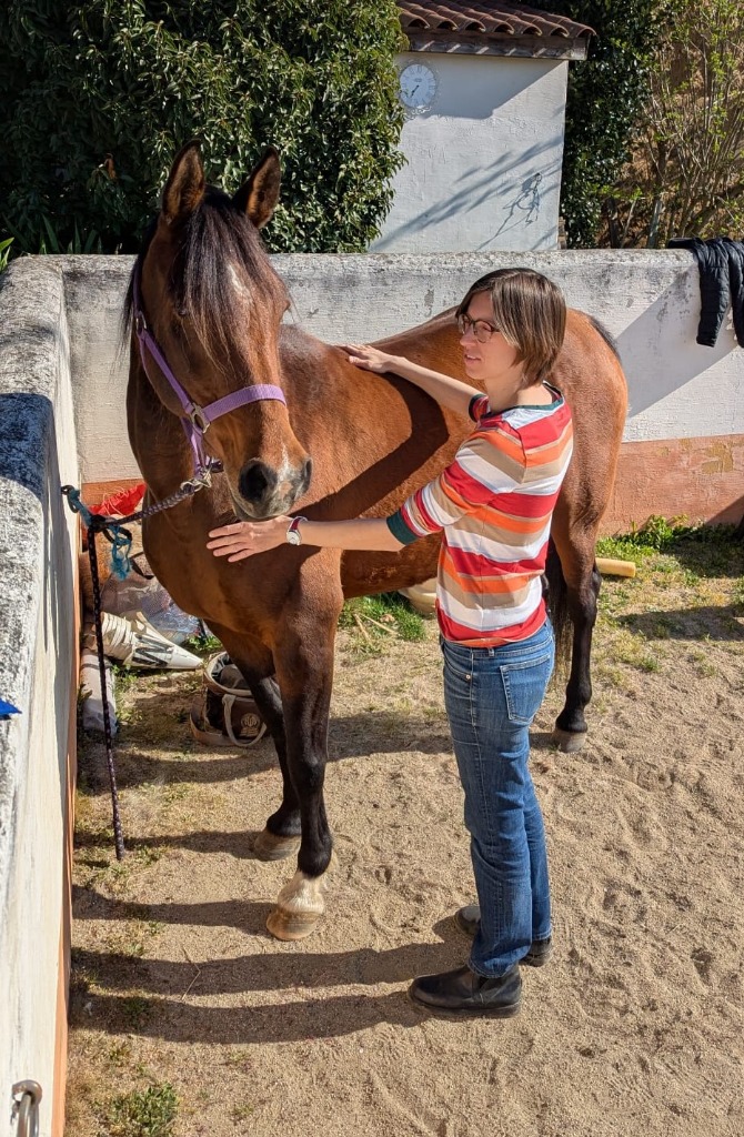 photo seance Cabinet vétérinaire Véto Naturo