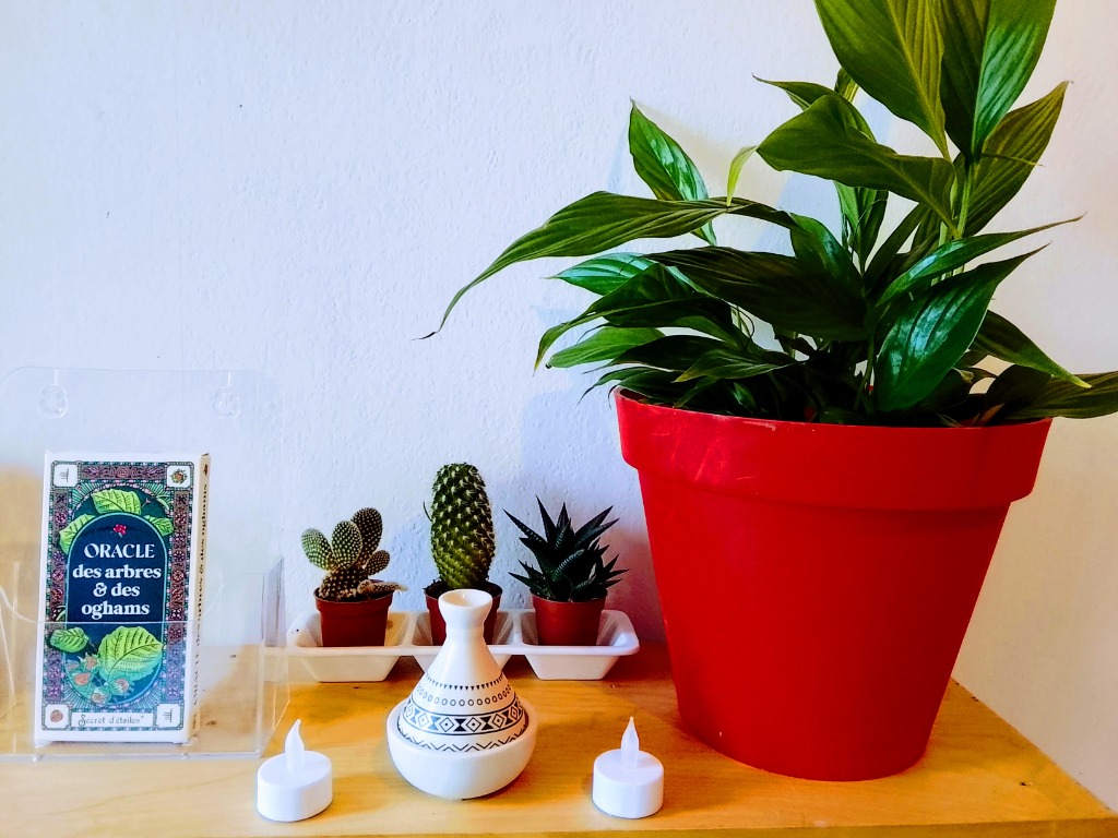 photo activite Lisa BioénergétiqueS