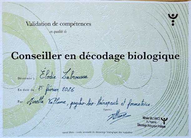 photo diplome Elodie Labrousse