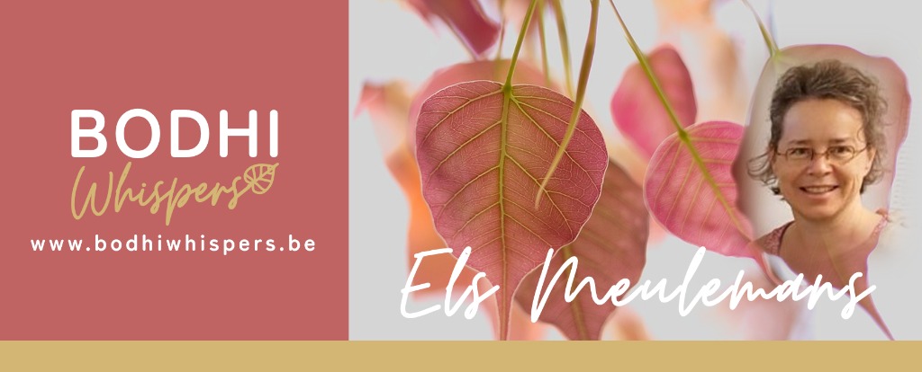 photo portrait Els Meulemans