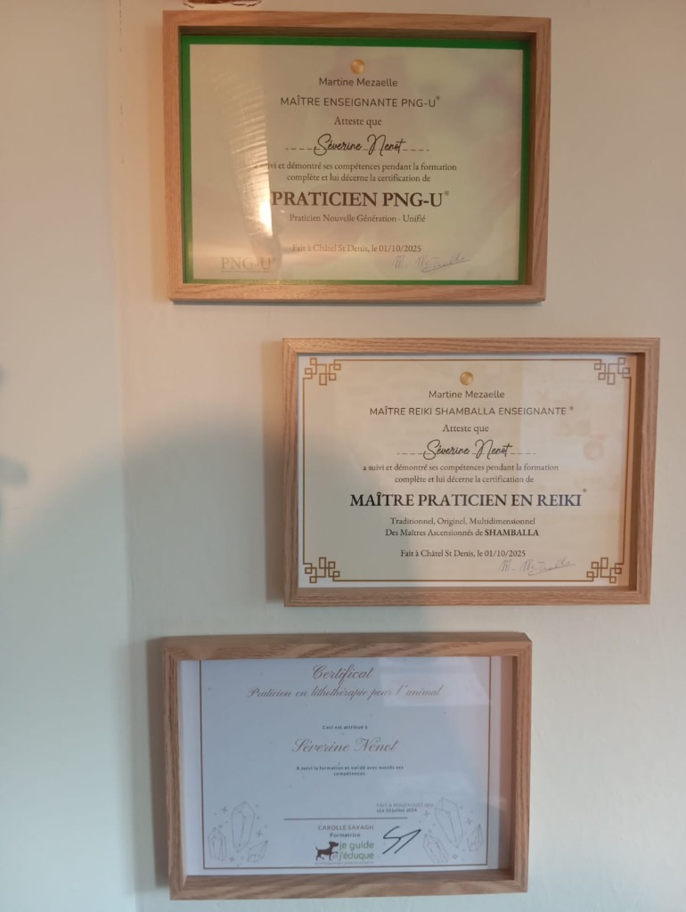 photo diplome Séverine Nenot