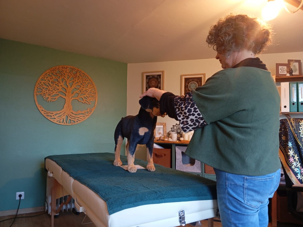 photo seance Séverine Nenot