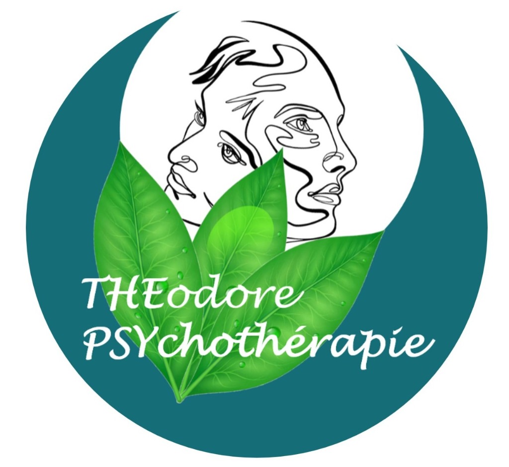 photo diplome Hans Theodore