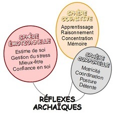 photo activite Soizic AMICE - Sacrés réflexes