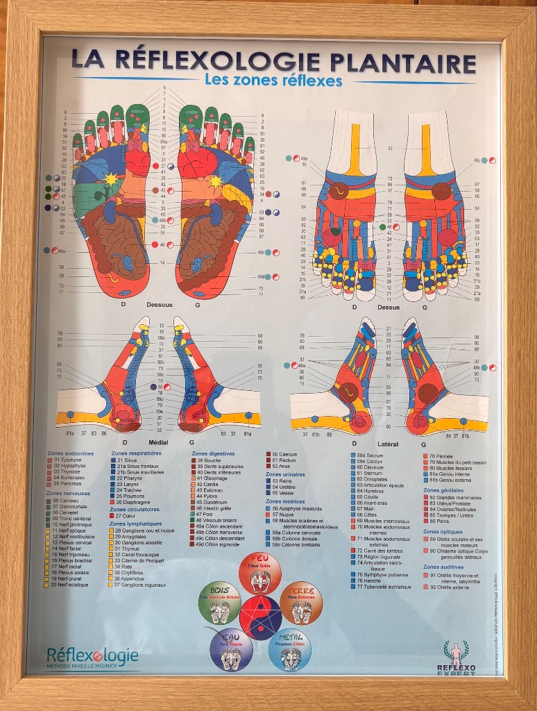 photo diplome Anne ROQUES