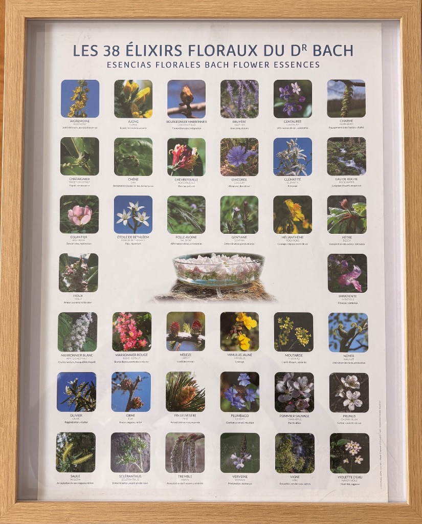 photo seance Anne ROQUES