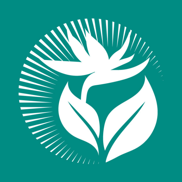 Vitality - Djamila Naturopathe