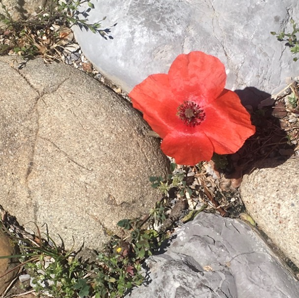 MARTIN-BOUVARD LAURENCE