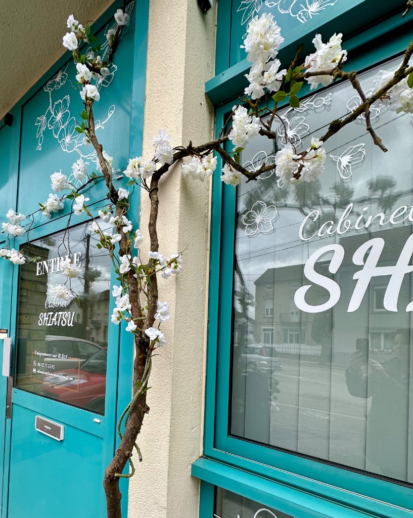 photo seance EI Alexandra Delaigue Shiatsu