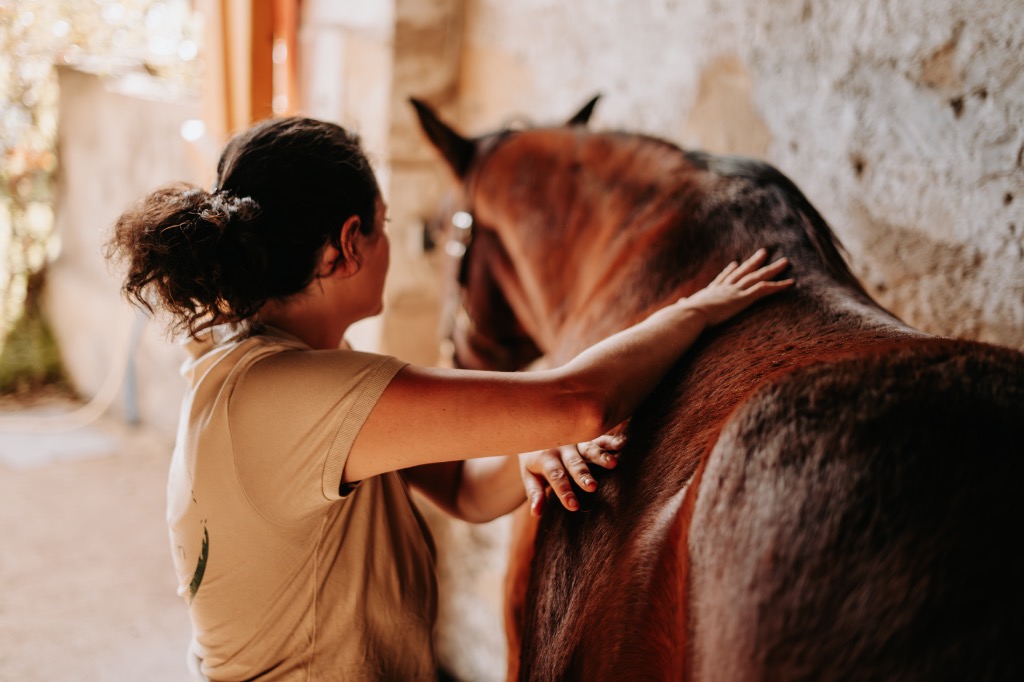 photo activite Morgane DECARPIGNY Shiatsu