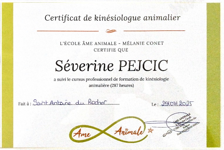 photo diplome Kinésiologie Animale Séverine PEJCIC