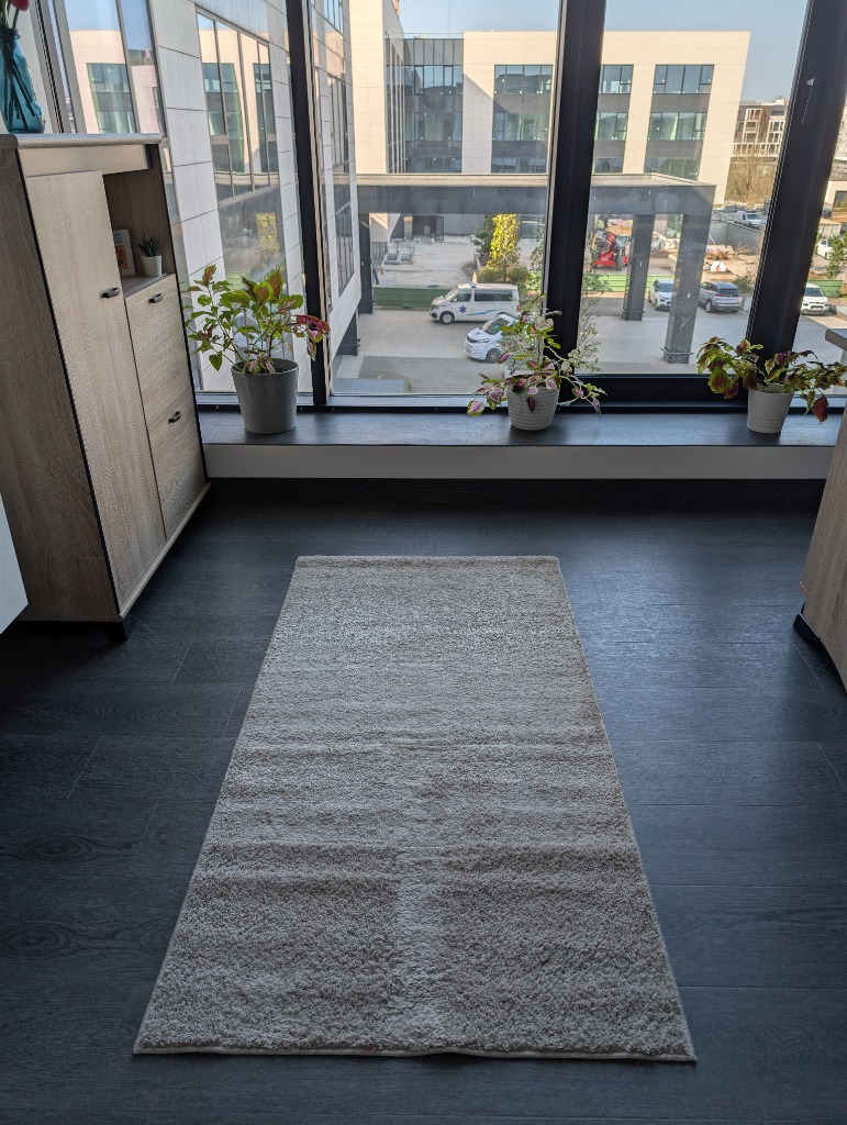 photo activite Valentina PANZARELLA