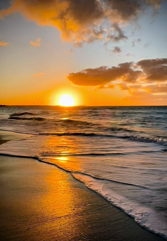 photo diplome Oana MEUNIER