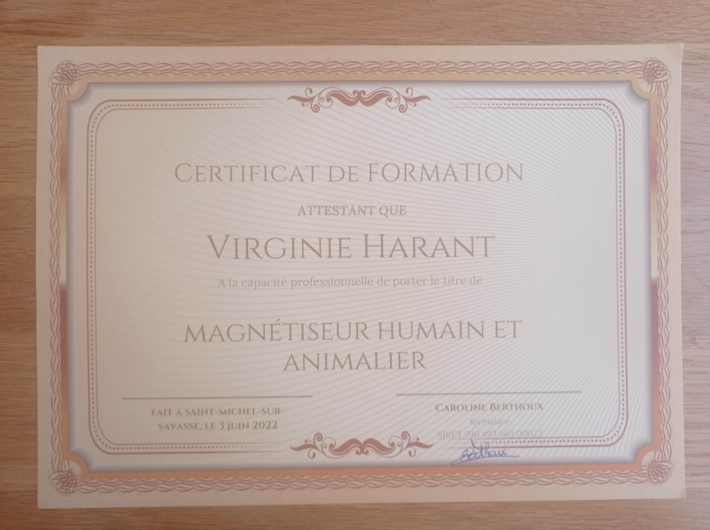 photo diplome Virginie Energie