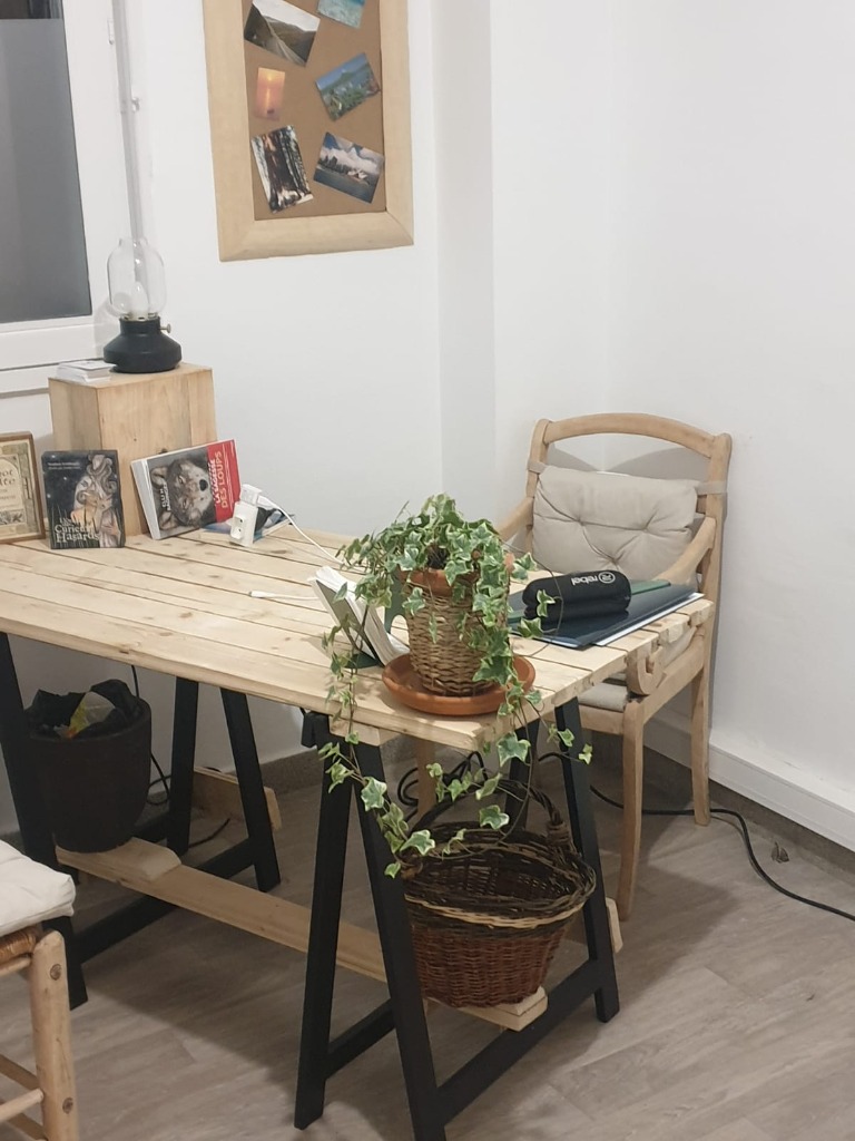 photo activite Pierre-David MOINE