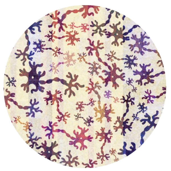 Bulle des apprentissages