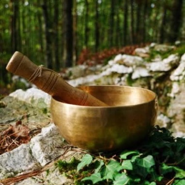 photo activite La louve