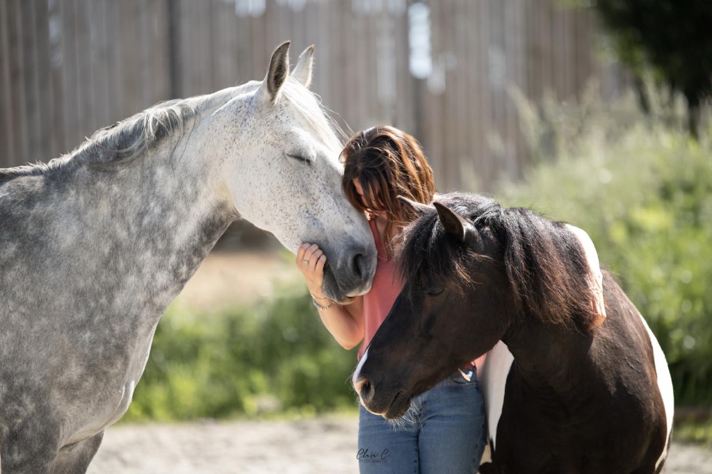 photo activite Dorothée Drapier