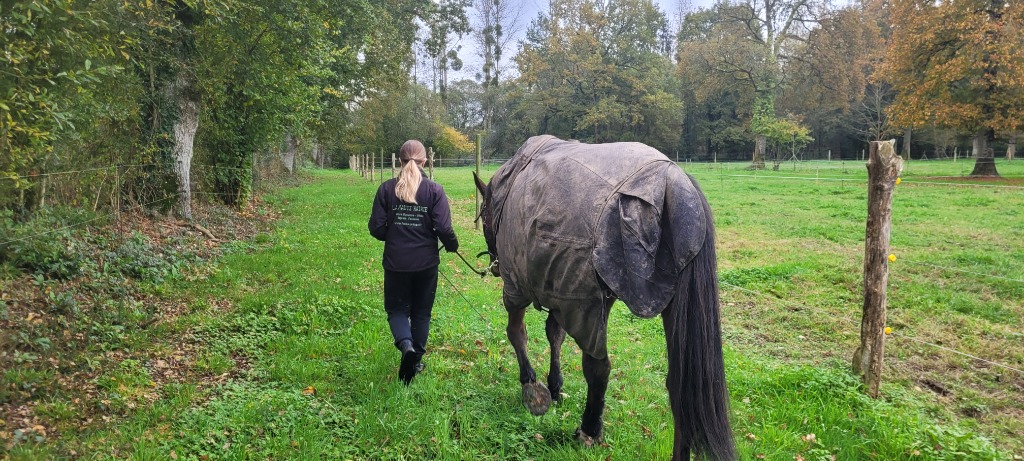 photo activite Mme Barbara Blondel