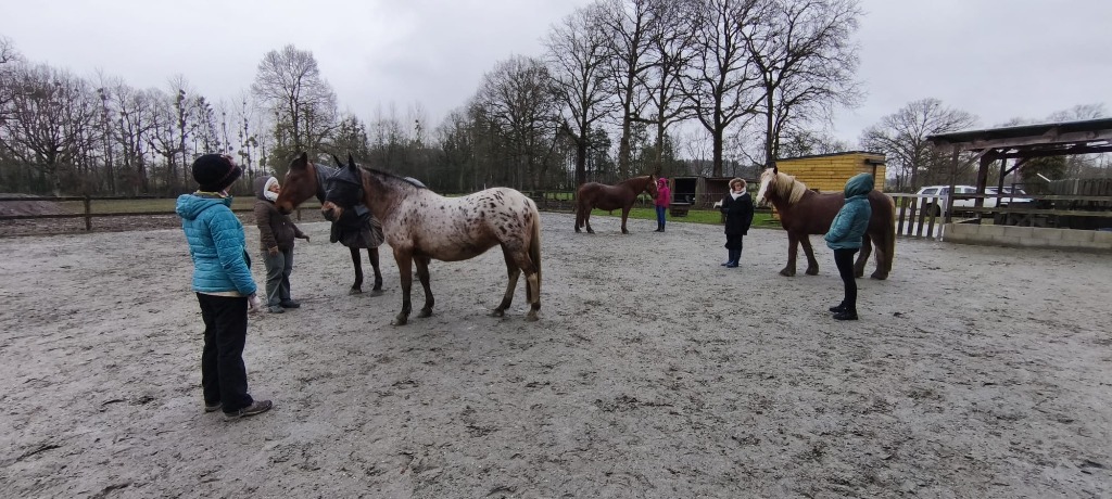 photo cabinet Mme Barbara Blondel