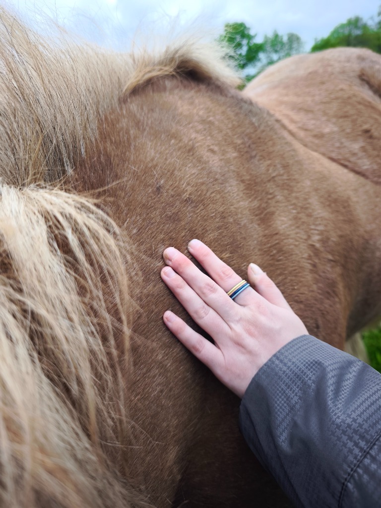 photo seance Mme Barbara Blondel