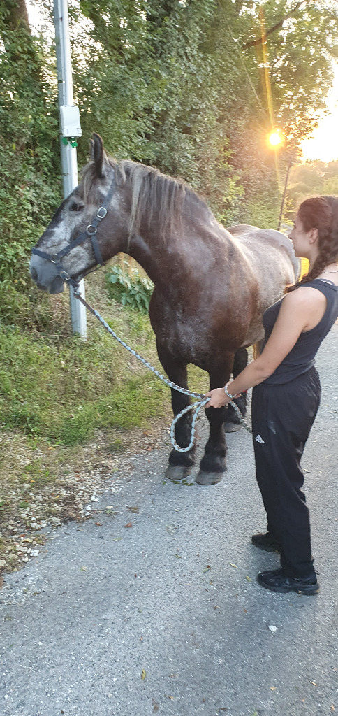 photo activite L’Echo des Sabots - JOUHANIN Mélanie