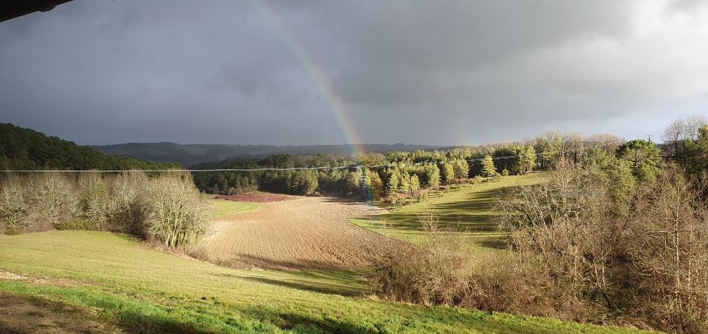 photo cabinet L’Echo des Sabots - JOUHANIN Mélanie