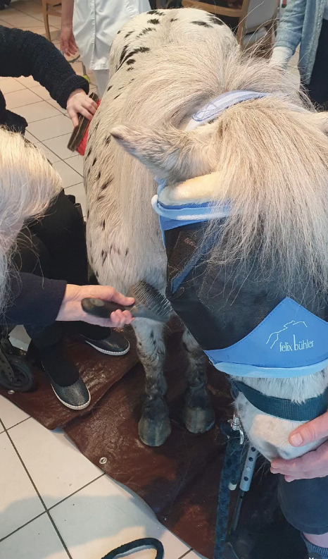 photo diplome L’Echo des Sabots - JOUHANIN Mélanie