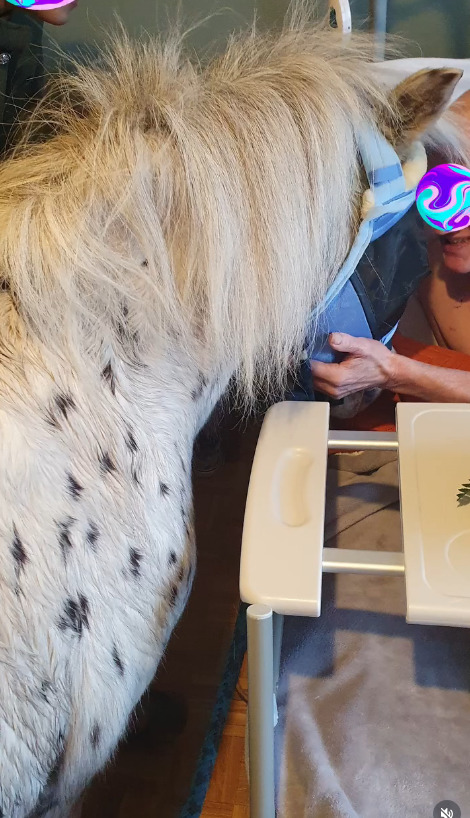 photo portrait L’Echo des Sabots - JOUHANIN Mélanie