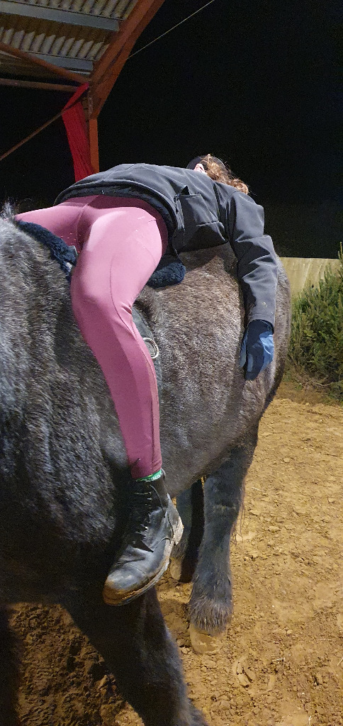 photo seance L’Echo des Sabots - JOUHANIN Mélanie