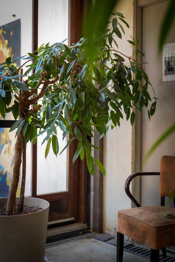 photo cabinet Fatia RAHALI