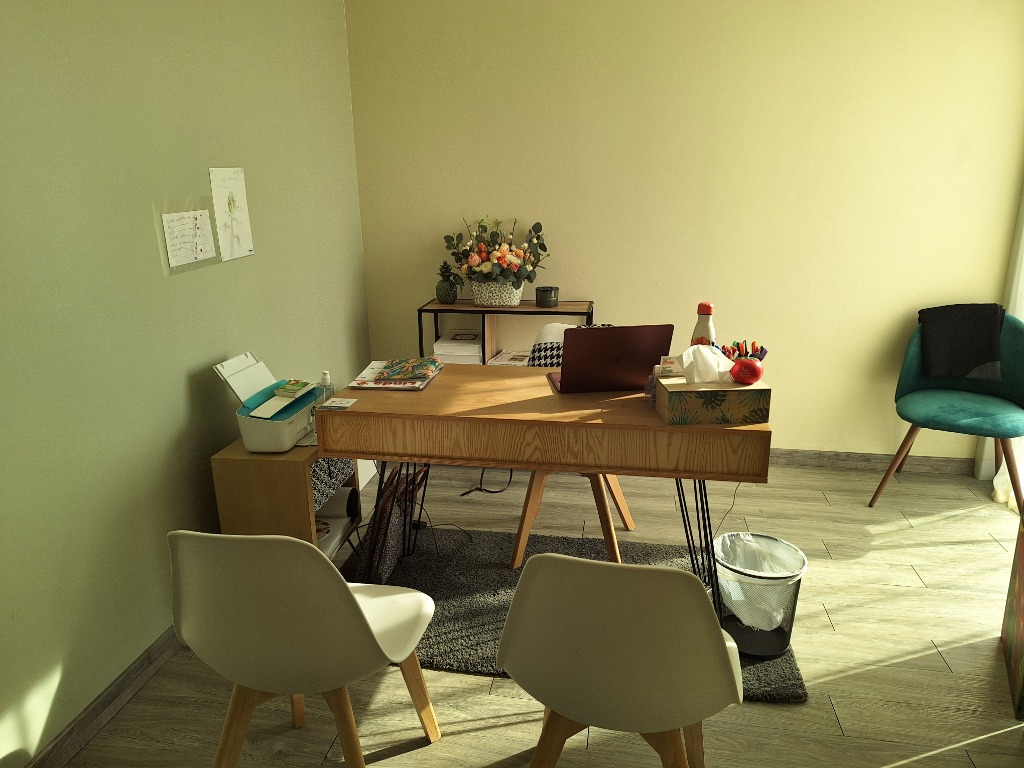 photo cabinet Emmanuelle MOREAU-LIMA