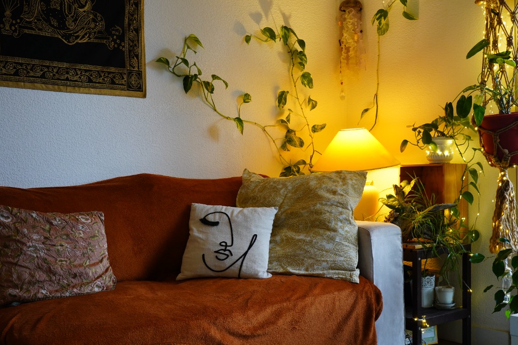 photo cabinet Agathe Farineau  