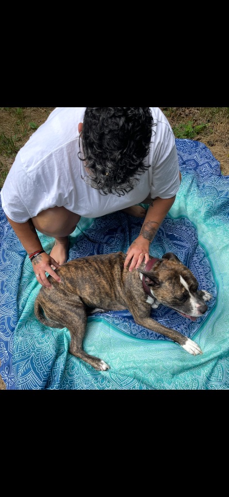 photo seance Zen in casa 