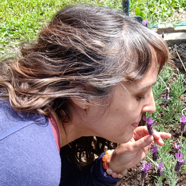 Annéloïse Solennaë