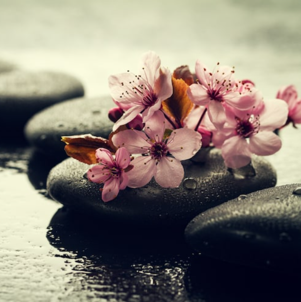 Le bien être de sabrina