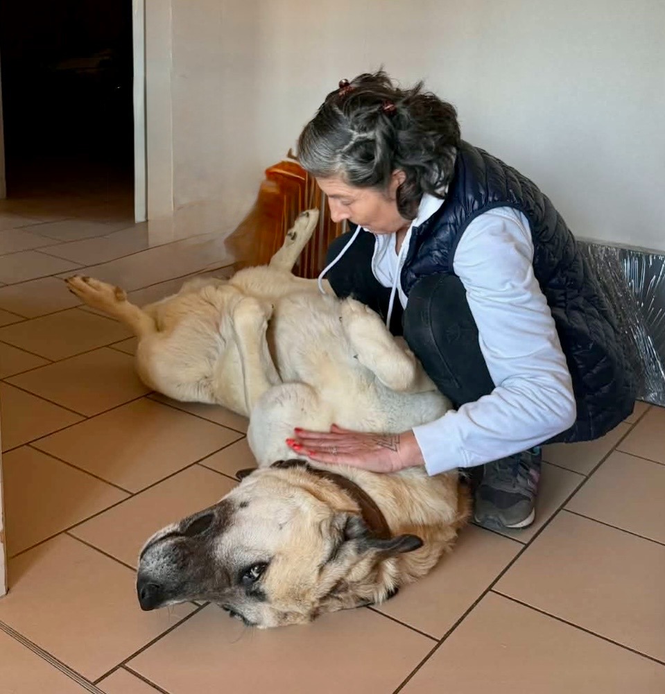 photo seance Amathélia Shiatsu Sandrine Gié