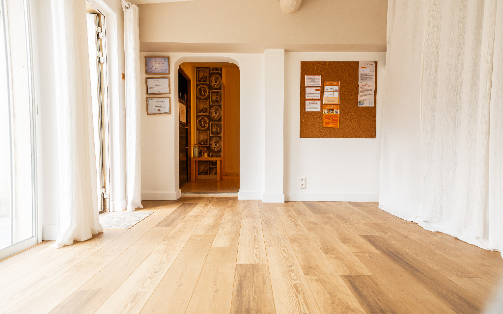 photo cabinet Anne Oddoux 