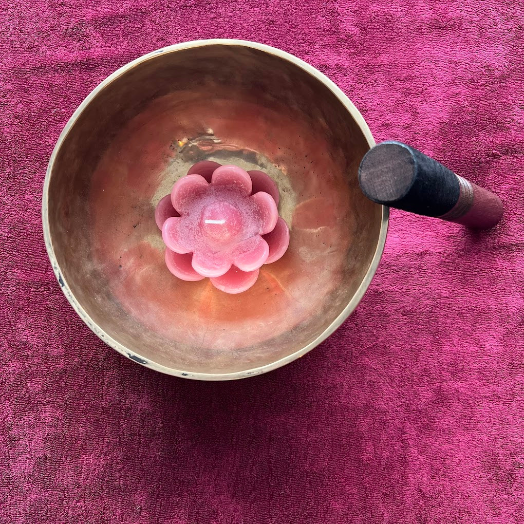 photo activite Optitsoin