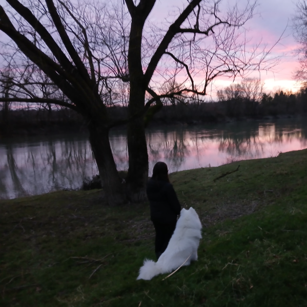 Gard’Amour O’Poils 