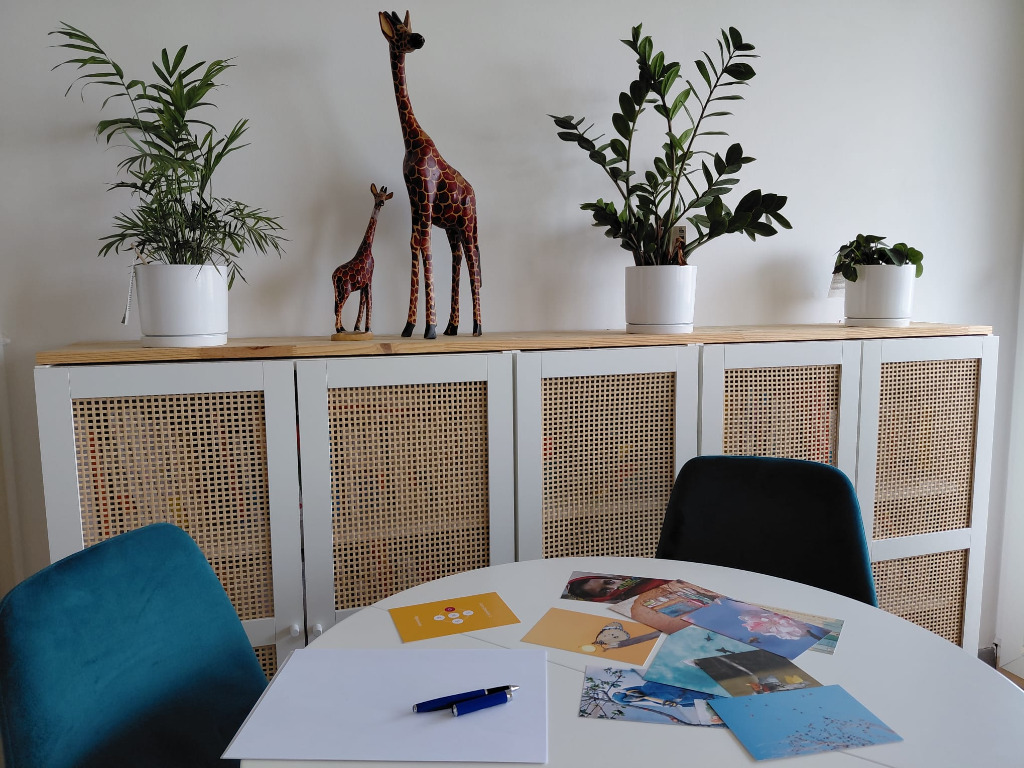 photo cabinet Emmanuelle Ducassé