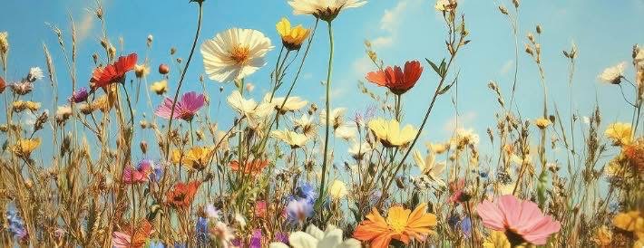 photo cabinet Elodie Sirignano