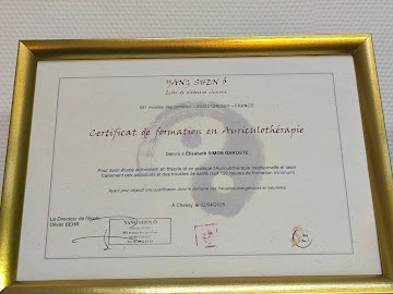 photo diplome Renaissance laser