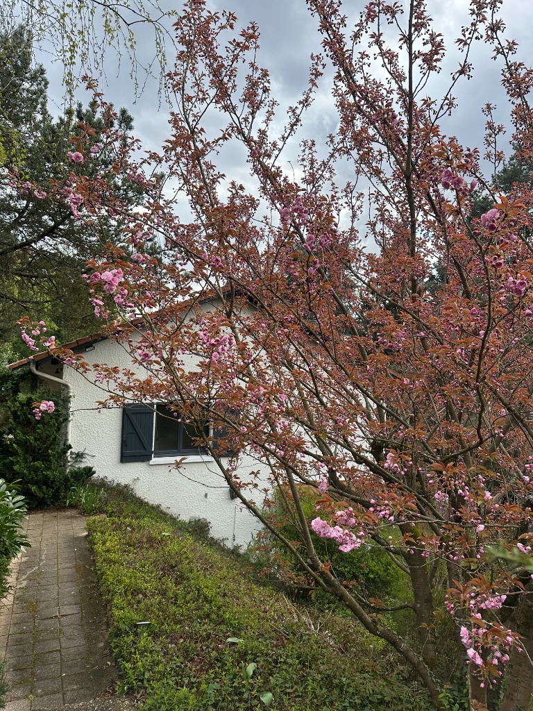 photo cabinet Nathalie Estublier