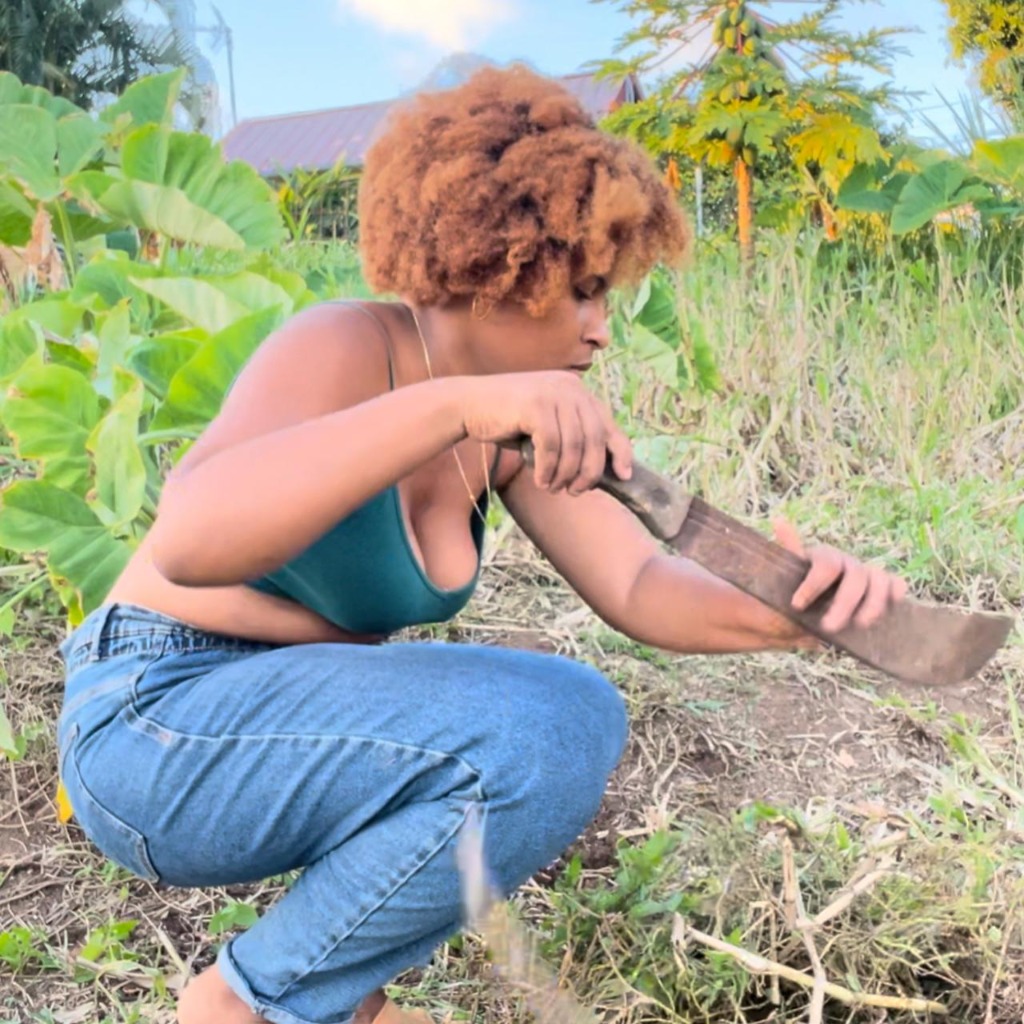 photo activite Déyes Natirel