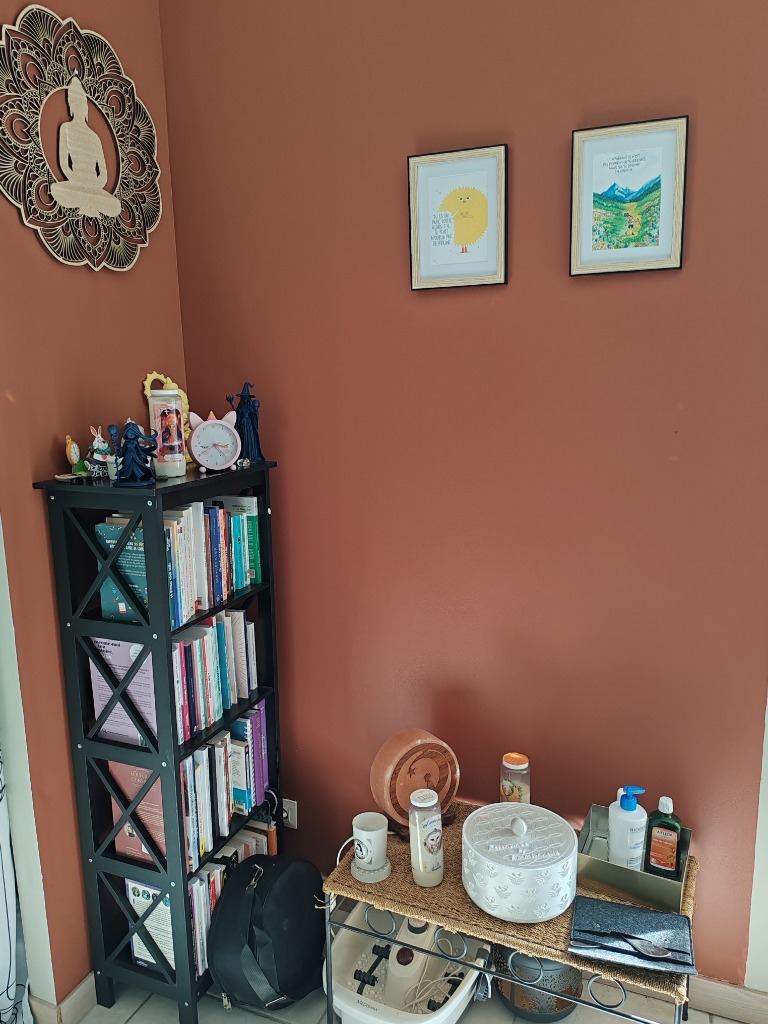 photo cabinet Veronica lafond