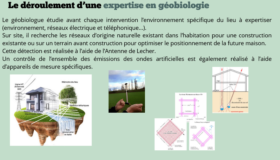 photo activite NADINE CAZALIS