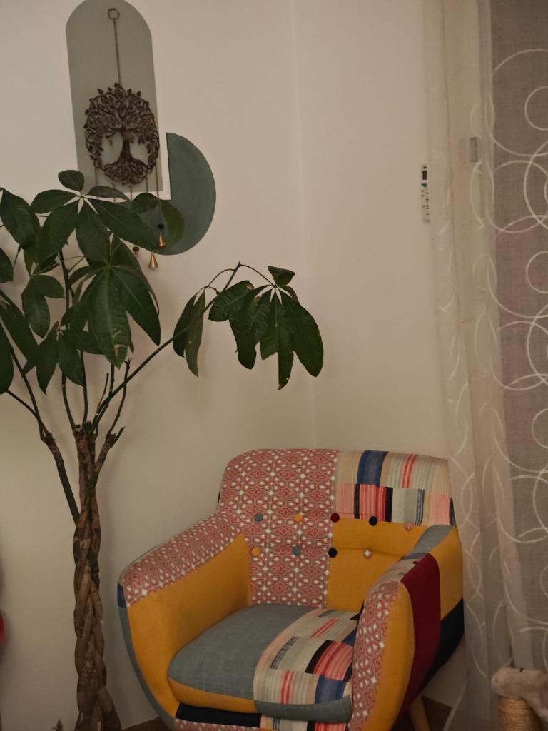 photo cabinet ÉclorAiles