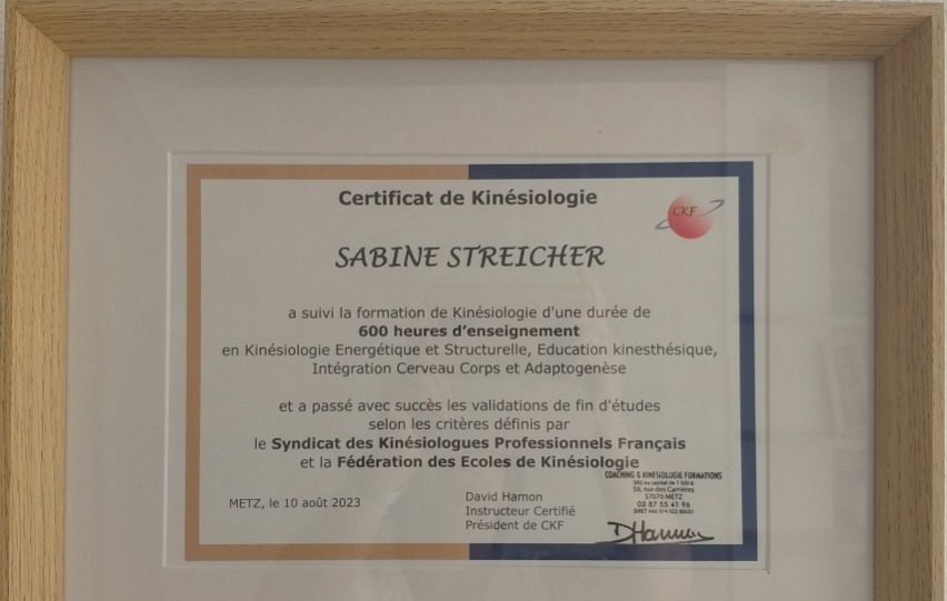photo activite Sabine STREICHER Kinésiologue