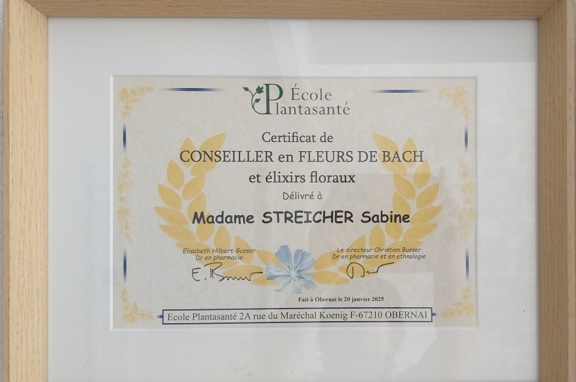 photo diplome Sabine STREICHER Kinésiologue